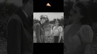 Highway Hell 1941 PizzaFLIX🍕TEASER2 [upl. by Jesselyn653]