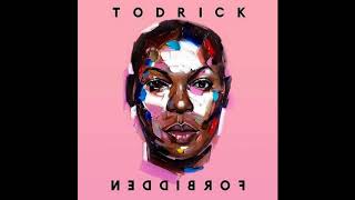 Todrick Hall  Type Official Audio [upl. by Llewol]