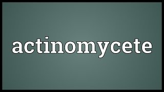 Actinomycete Meaning [upl. by Atsylac]