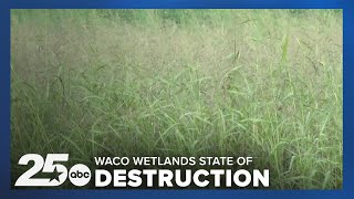 Lake Waco Wetlands in state of destruction as the area celebrates its 20th anniversary [upl. by Lekram295]