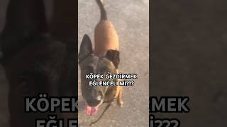 Köpek Gezdirmek  köpekvideoları [upl. by Eelasor662]