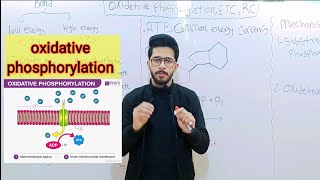 oxidative phosphorylation  lec 1 [upl. by Jenesia215]