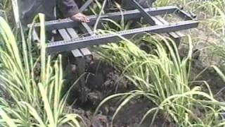 Earthing Up Ridger 4 feet  Sugarcane amp Cotton  EVEREST INDUSTRIES [upl. by Papotto]