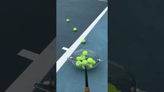 Tennis Ball Elite Easy Court Collection for the Discerning Player tennisball tennisracket [upl. by Paviour699]