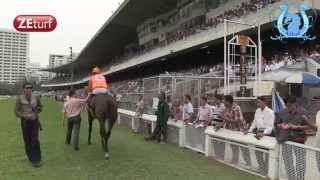 REPORTAGE  Les courses en Thaïlande  A2TURFCOM [upl. by Francklyn]