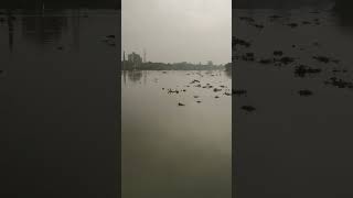 Walkway river vairalvideo nature bosila song [upl. by Attenat]