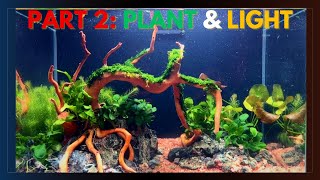 How to Arrange Fresh Driftwood and Green Lava Rocks for a Stunning Aquascape  Part 2 Planted [upl. by Anovad]