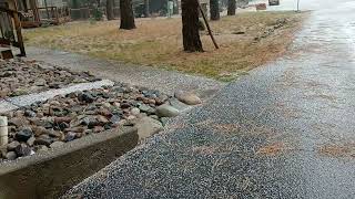 Pagosa Springs Colorado Hail October 20 2024 [upl. by Winslow]