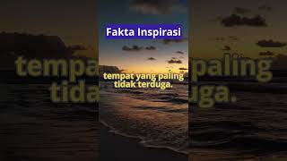 Fakta Inspirasi shortvideo katakatabijak faktaunikdanmenginpirasidunia [upl. by Ahsekat92]