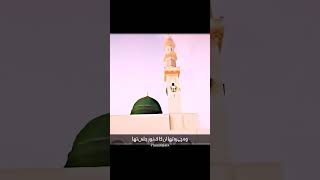 Tajalli  Beautiful Naat New Status [upl. by Lienaj]