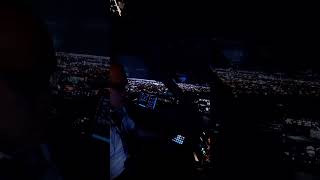 DIY A320 Cockpit Landing Night Flight Tokyo to Osaka [upl. by Thema]