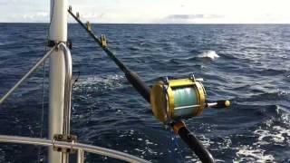 Fishing Setup  Fishing from a sailboat [upl. by Tahp132]