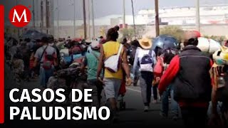 Detectan casos de paludismo en Tizayuca Hidalgo debido al paso de migrantes [upl. by Melia]