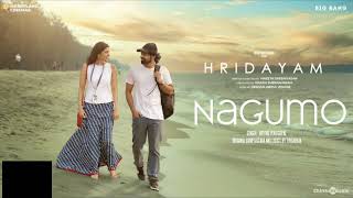 NAGUMO Song pranav mohanlalhridhyam songdrshana [upl. by Meredi]