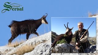 Balkan Chamois hunting in the Croatian mountains  Biokovo – part 2 Gamsjagd in Kroatien [upl. by Brunhilde]