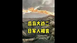 瓜岛大战二，日军人相食 二战 太平洋战争 瓜岛争夺战 历史 [upl. by Babbie]