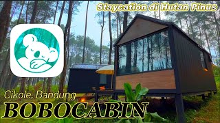 BOBOCABIN CIKOLE  STAYCATION DI TENGAH HUTAN PINUS  Daya Channel [upl. by Ysabel815]