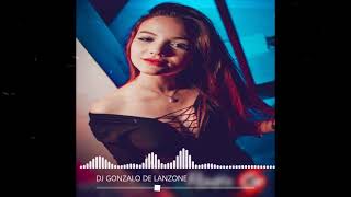 Reggaeton Remix  DJ GONZALO [upl. by Neyr]