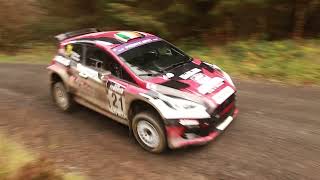 Cambrian Rally 2024  Action from the Clocaenog Stage  SS25 [upl. by Nyral870]