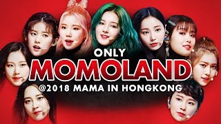 MOMOLAND at 2018 MAMA in HONG KONG  All Moments [upl. by Nirat]