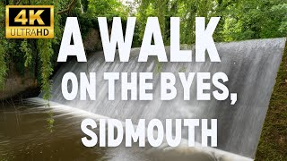 4K A walk along The Byes in Sidmouth Devon [upl. by Gabriello]