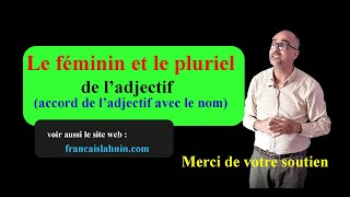 Laccord de ladjectif  le féminin et le pluriel de ladjectif [upl. by Malonis]