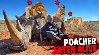 This Rhino Poacher Was EATEN ALIVE By Pride of LIONS [upl. by Goar]