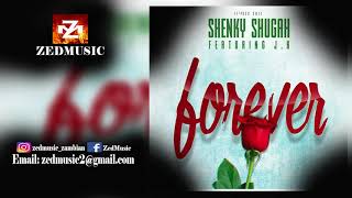 Shenky Shugah amp JK Forever Audio ZEDMUSIC 2017 [upl. by Ajnot974]