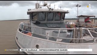 Pêche illégale  plusieurs tonnes de poissons saisies [upl. by Hefter365]