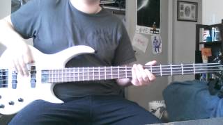 TSSF  States and MindsRoam Bass Cover [upl. by Namzzaj]