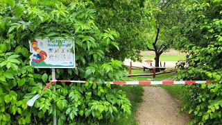 Starkregen in Heiningen lässt den Heubach übertreten ☔️ [upl. by Udenihc]