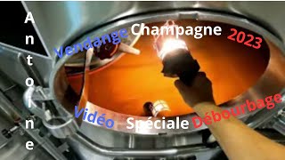 Vidéo spéciale débourbage Vendange Champagne 2023 Jour 2 [upl. by Glenna]