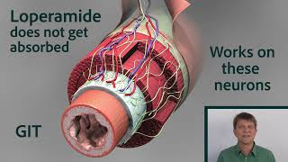 Comparing Loperamide to Other Opioids [upl. by Ecinnaj]