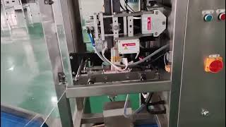 Vertical form fill seal packaging machine for Dried Nuts Seeds Snacks [upl. by Yxor510]