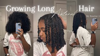 My Natural Hair Care Routine for Length Retention  How to grow long hair [upl. by Hinch537]