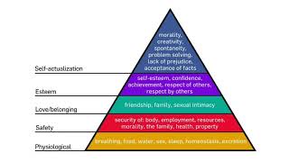 Maslow Hierarchy of Needs Basic Human Needs Theory of Human Motivation  Nursing Online Lectures [upl. by Nerehs]