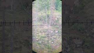 1000 Yard Cold Bore Shot With 65 Creedmoor [upl. by Netsrijk]