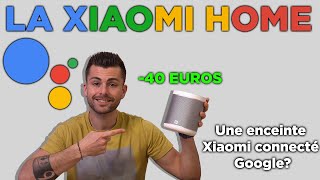 Un Google Home dans une ENCEINTE XIAOMI [upl. by Arhna619]