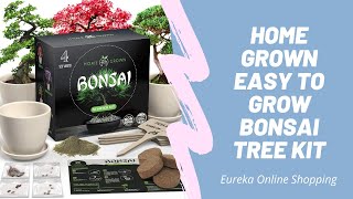 HOME GROWN Easy to Grow Bonsai Tree Kit  100k Bonuses in Description [upl. by Sakiv]