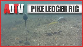 AD QuickBite  How To Tie A Deadbait Ledger Rig For Pike [upl. by Ludlew]