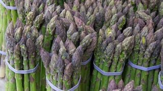 Vitamins and Minerals in Asparagus  Asparagus Benefits [upl. by Luemas]