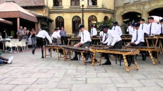 St Stithians Boys Preparatory Marimba Band 2011 MOV [upl. by Umeh]