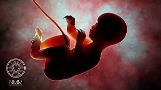 Womb Meditation Music sleep meditation Baby music to Sleep womb sounds meditation music 32704W [upl. by Yrelbmik]