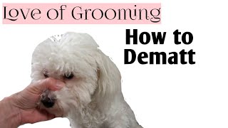 How to Dematt a Dogs Ear  Dematting a Dog [upl. by Alleuqcaj216]