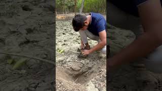 my dream planting 1 Lakh Tree 🌳 in 2025 [upl. by Dieball]