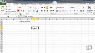 Inputting And Formatting Numbers in Excel 2010 [upl. by Mcgrody899]