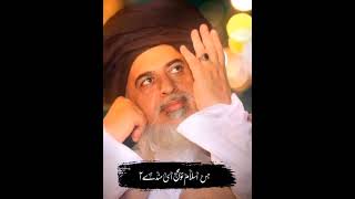 Tlp New Tarana 😎short video tlp zaidtlp11😍😍🧡🧡 [upl. by Prima]