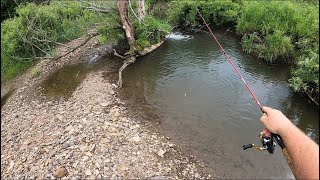 Catching Monster PA Wild Brown Trout in tiny Streams 26 inch trout mepps streamer fishing [upl. by Orecul]