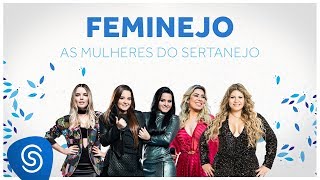 Feminejo As Mulheres do Sertanejo  Mix Sertanejo 2019 [upl. by Nicram]