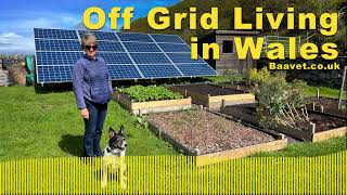 Off Grid Living in Wales Audio only [upl. by Lakim]